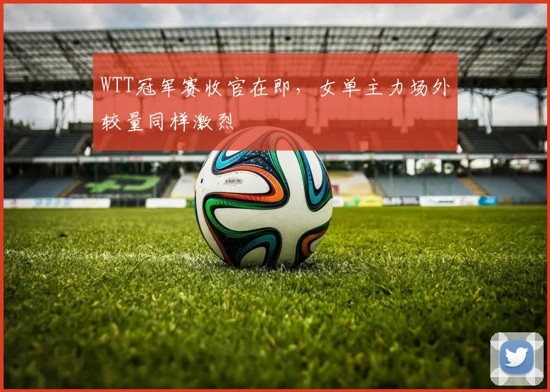 WTT冠军赛收官在即,女单主力场外较量同样激烈