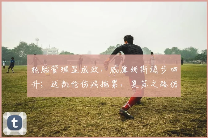 轮胎管理显成效，威廉姆斯稳步回升；迈凯伦伤病拖累，复苏之路仍漫长