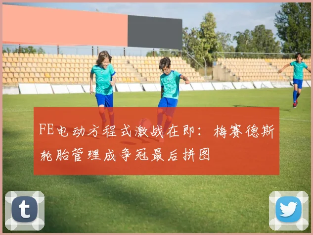FE电动方程式激战在即:梅赛德斯轮胎管理成争冠最后拼图