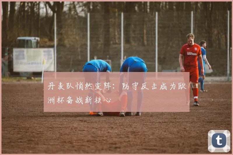 丹麦队悄然变阵：防守反击成为欧洲杯备战新核心 - 万彩官网官网入口